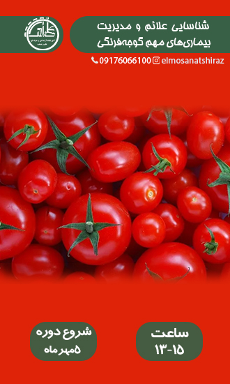 شناسایی علائم و مدیریت بیماری‌های مهم گوجه‌فرنگی 